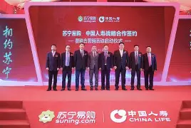 苏宁总共三路主帅，治标排名解药的简单介绍